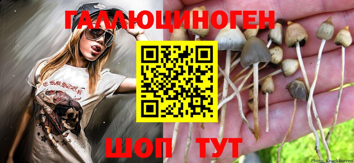 Озёрск  Псилоцибиновые грибы Magic Shrooms  Вход с VPN 
