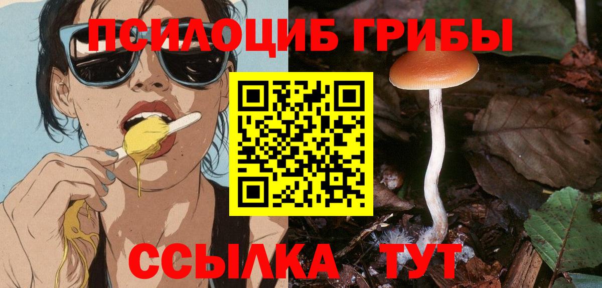 Галлюциногенные грибы ЛСД Озёрск